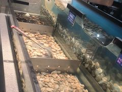 -遇上西雅图多融合海鲜自助餐厅(中房金谊广场店)