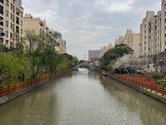 -高东镇樱花园