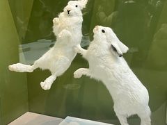 -国家自然博物馆