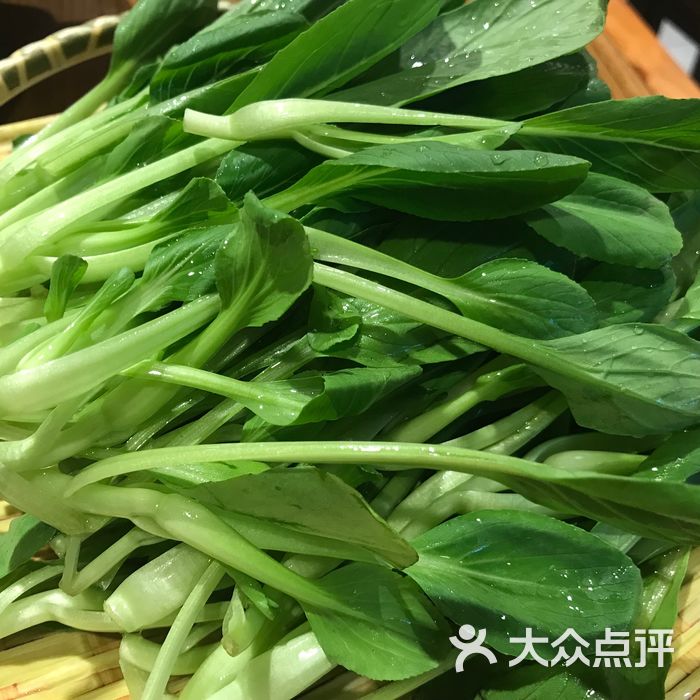 川溢香老成都火锅鸡毛菜图片-北京重庆火锅-大众点评网