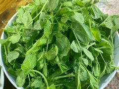 豌豆苗-理塘县特色砂锅牦牛肉馆