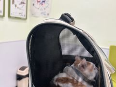 -艾吉宠物医院·疑难杂症转诊中心·猫友好(碧江路院)