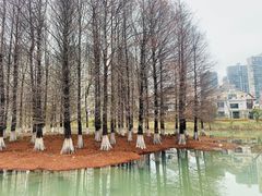-白塘生态植物园
