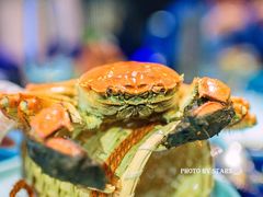 清蒸大闸蟹-诺莱仕游艇会