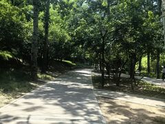 -元大都城垣遗址公园