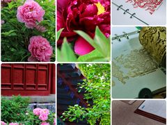 -大钟寺古钟博物馆