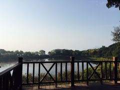 -上海市保健医疗中心(华东疗养院)
