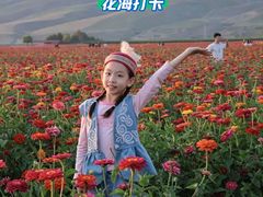 -新疆那拉提国家旅游度假区