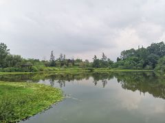 -桤木河湿地公园