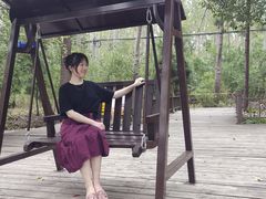 -合肥滨湖国家森林公园