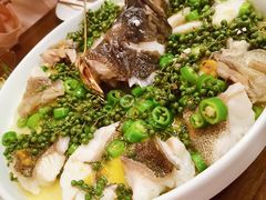 青青椒麻龙胆鱼-CHIC1699远洋私厨