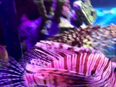 -沈阳海洋探索中心