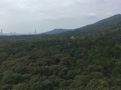-灵谷景区