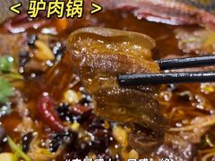 -小尹土菜