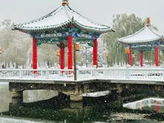 -长春市南湖公园