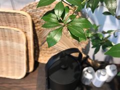 -boundaries籬苑(瑞光创意工厂-贰号院店)