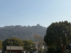 -呼吸森林·生态农庄农家乐私房菜