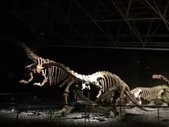 -世界恐龙谷景区