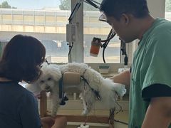 -派美特宠物医院·核磁CT·骨科肿瘤·疑难转诊(沈农禾丰店)