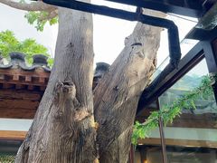 -糖房咖啡(南锣鼓巷店)