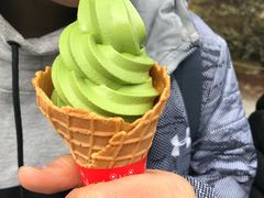 -豆政(金閣寺境内売店)