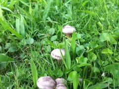 -合肥三国新城遗址公园