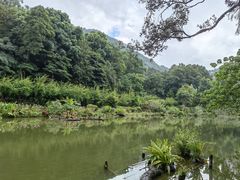 -深圳仙湖植物园