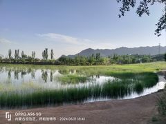 -乌素图国家森林公园