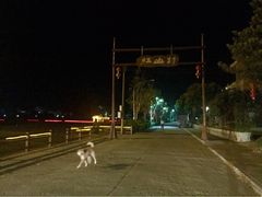 iphone_upload_pic-红山村
