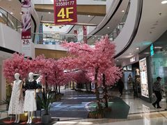 -上海颛桥万达广场