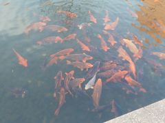 -杭州电子科技大学(下沙校区)