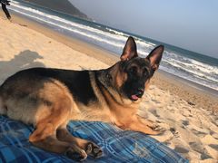 -西涌国际滨海旅游区