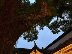 -星巴克(福州三坊七巷店)