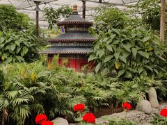 -南宫五洲植物乐园