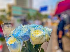 -循礼门鲜花花市(武汉循礼门店)