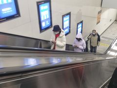 -宋家庄(地铁站)