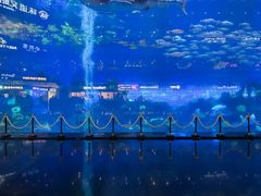 -成都浩海立方海洋公园