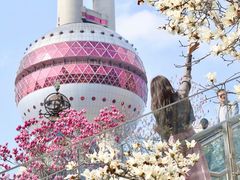-东方明珠广播电视塔