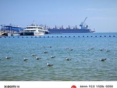 -海驴岛(荣成市)