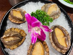 鲍鱼-东海怡品海鲜豆捞(舟宿夜江店)