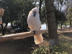 -杭州野生动物世界