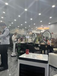-藤野造型