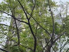 -乌文新澄海卤鹅店