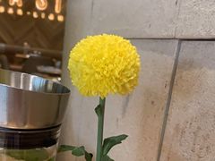 -原石牛扒·约会餐厅(龙城万科里店)