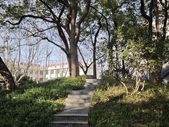 -徐家汇源景区-衡山公园