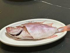 -吴记富苑(朝阳店)