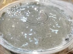 芝麻蛋糕厚乳-1828王老吉·草本新茶(珠江新城地铁站店)