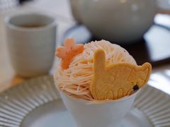 -猫里有甜