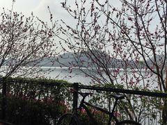 -东莞植物园