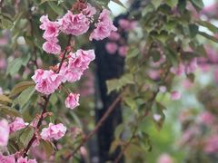 -大雁塔北广场音乐喷泉